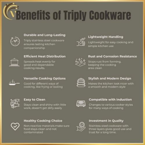 Triply Frypan With Lid
